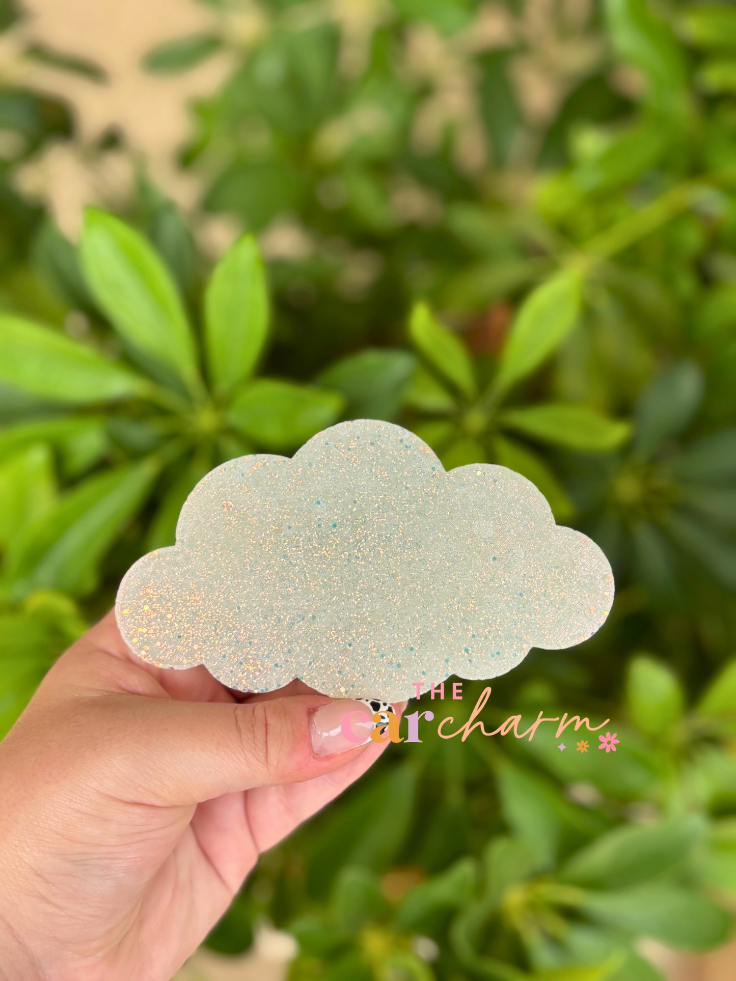 Cloud Freshie