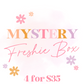 Mystery Freshie Box