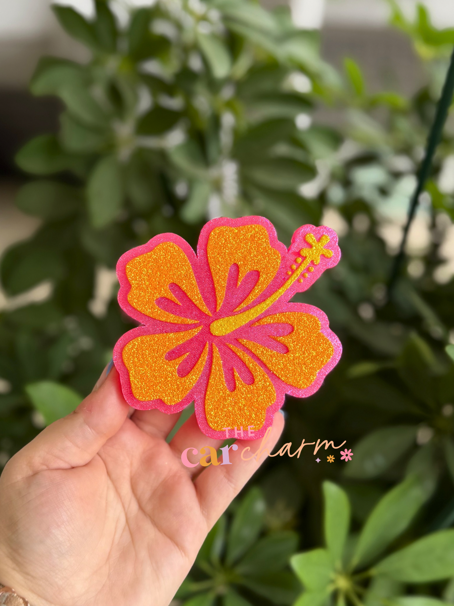 Hibiscus Freshie